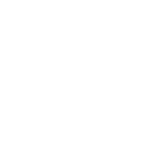 logo1